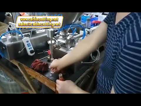 单双头10ml-5000ml洗涤剂酸奶酱料灌装机 | 粘稠产品灌装设备