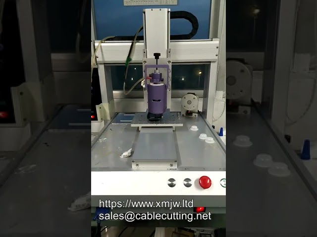 全自动三轴桌面式PLC可编程高速喇叭点胶机 | 精准施胶解决方案